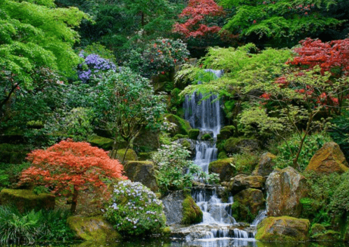 A serene garden with vibrant trees, colorful flowers, and a gentle waterfall cascading over mossy rocks.